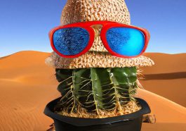 Photo generee par CM3Leon en reponse au prompt : Un petit cactus portant un chapeau de paille et des lunettes de soleil fluo dans le désert du Sahara